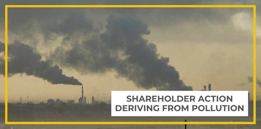 Shareholder Action Deriving from Pollution